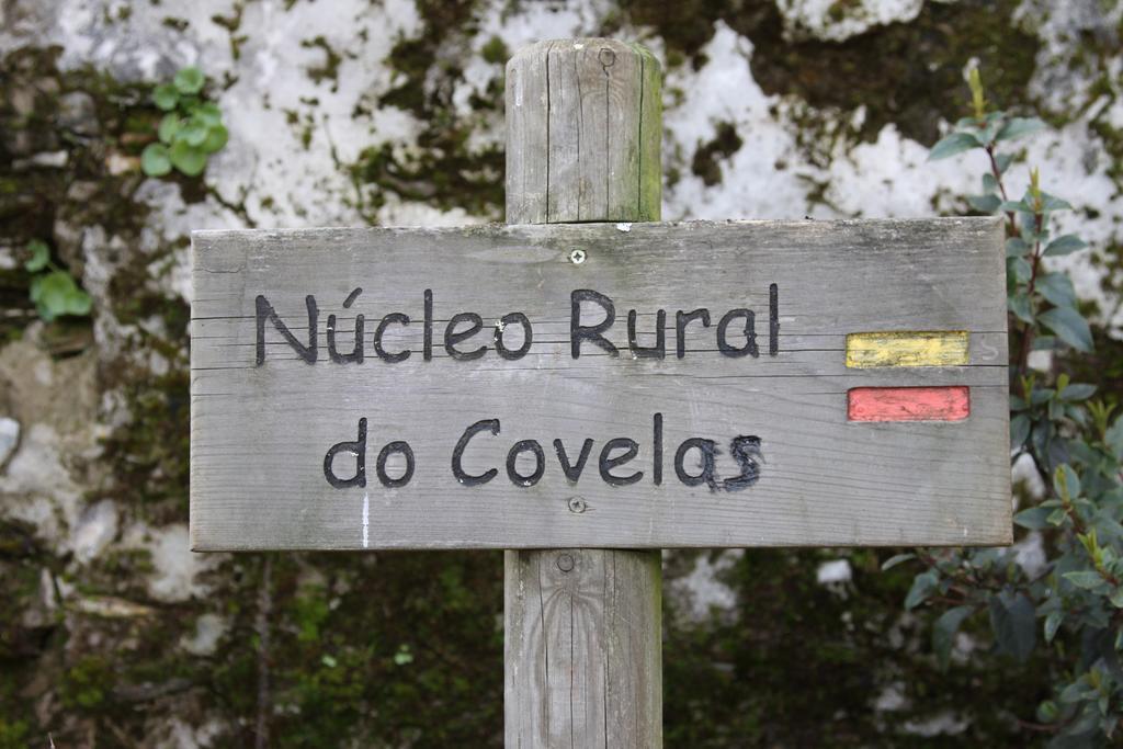 Alojamento Rural De Covelas Covelas  ภายนอก รูปภาพ